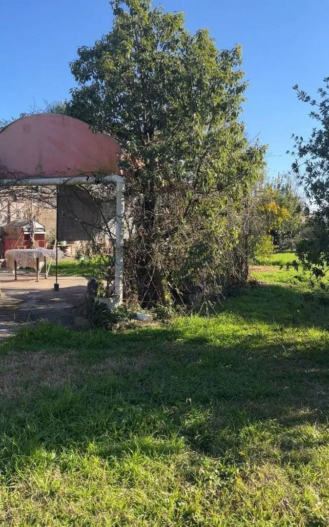 Casa con gran terreno en venta en Zavalla 5