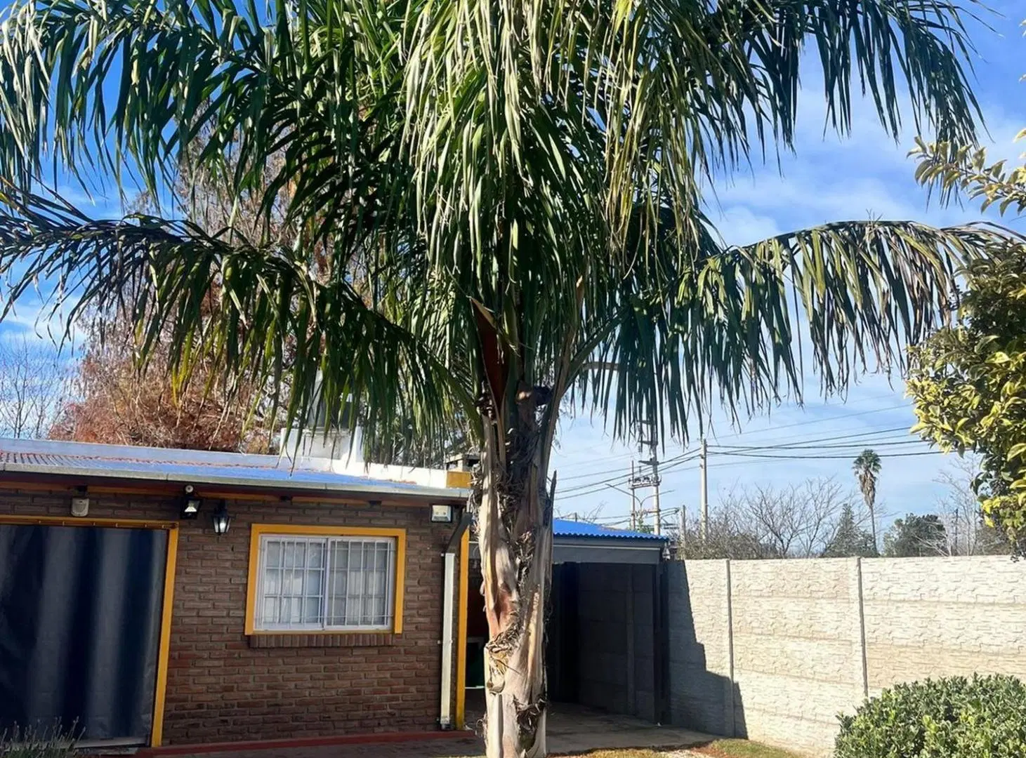 Casa de 1 dormitorio con pileta en Zavalla 8