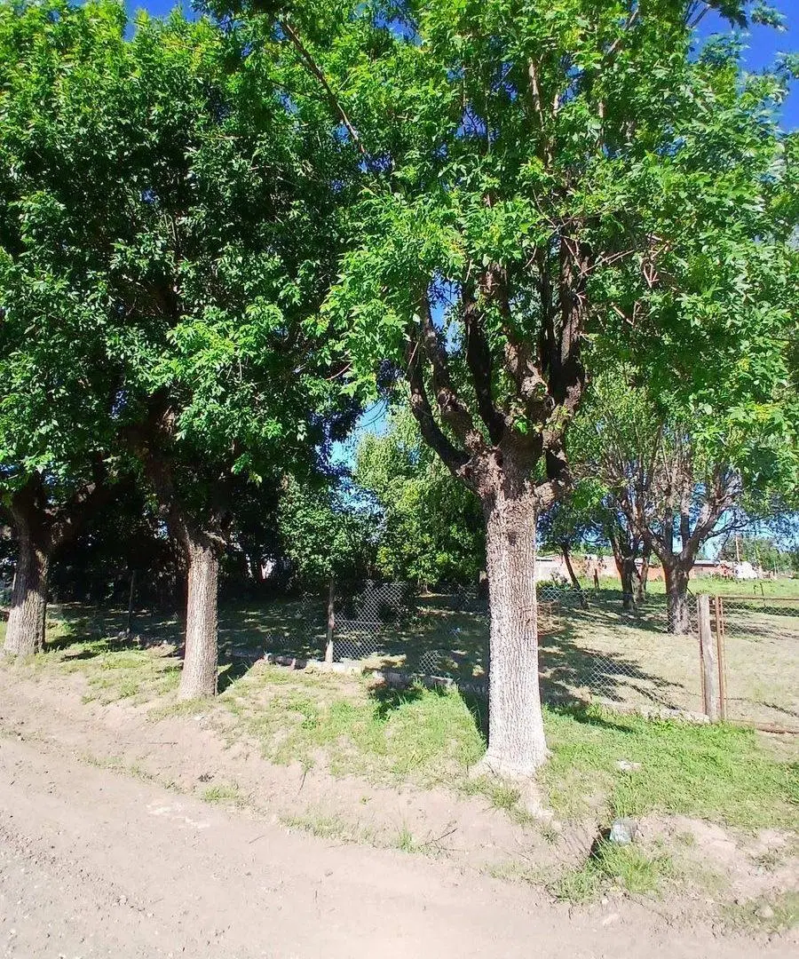 Terreno de 5961 M² con casa a reciclar. 8