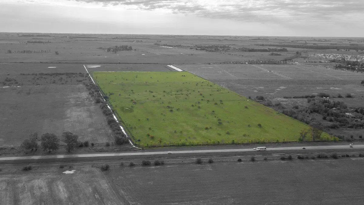 CAMPO 32 HECTAREAS EN VENTA - PIÑERO 4