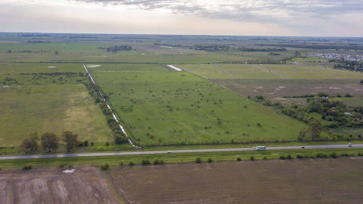 CAMPO 32 HECTAREAS EN VENTA - PIÑERO 8