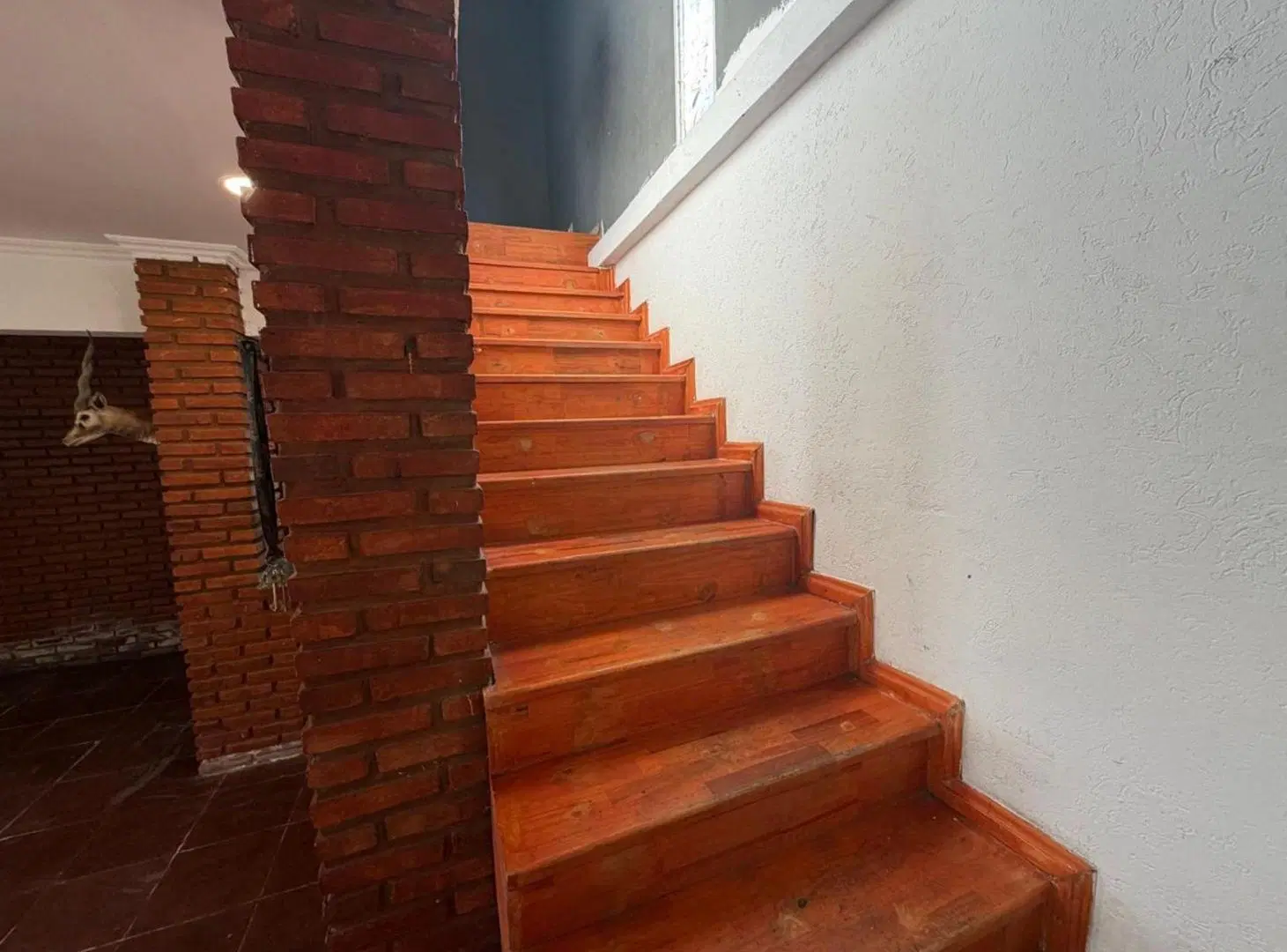 CASA EN VENTA 3 DORMITORIOS PILETA ROLDAN 4