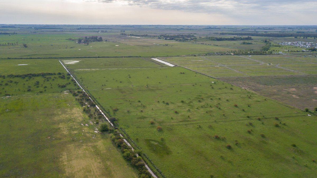 Foto de CAMPO 32 HECTAREAS EN VENTA - PIÑERO, imagen 3