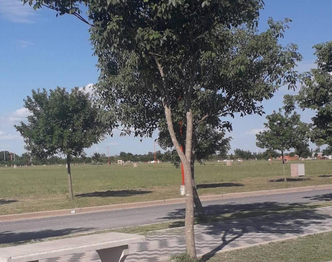 Foto de Gran lote a la venta en Andino, imagen 4
