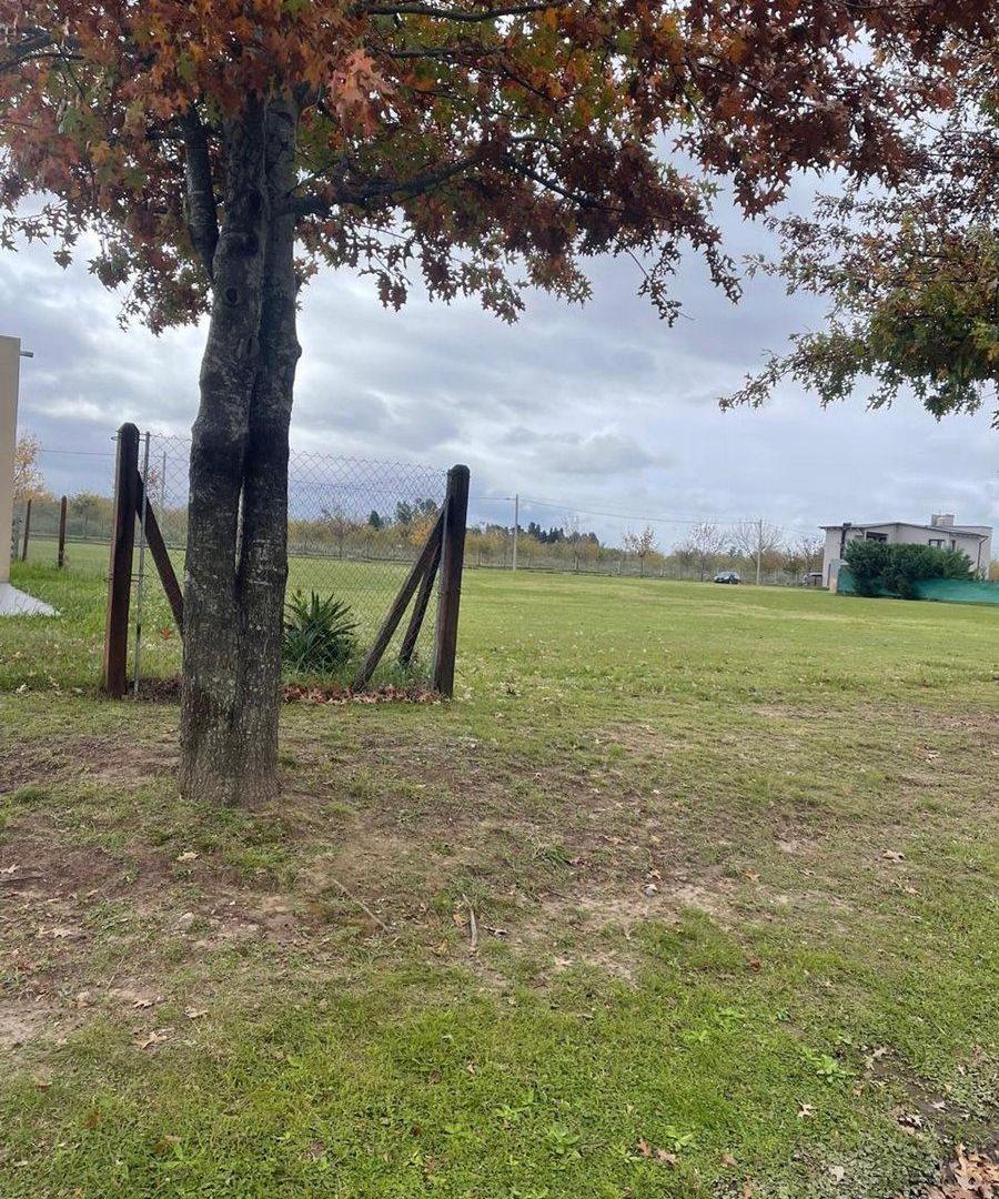 Foto de Venta Terreno en Las Casuarinas , lote grande., imagen 3