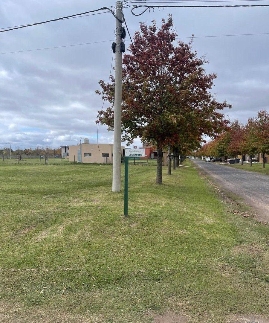 Foto de Venta Terreno en Las Casuarinas , lote grande., imagen 1