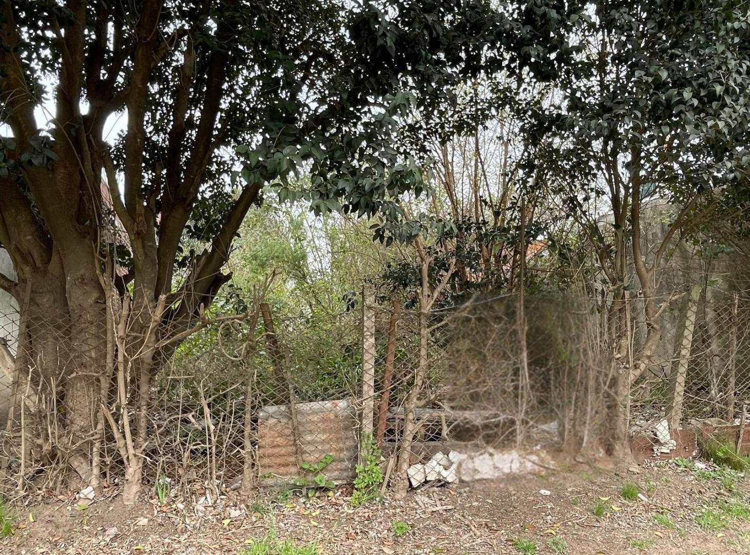 Terreno lote en venta en Matheu