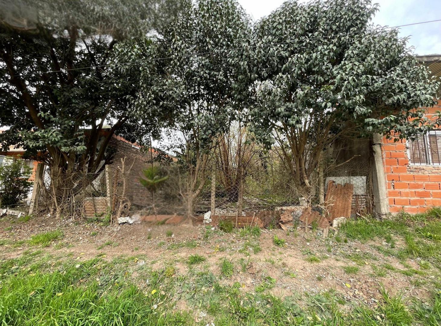 Foto de Terreno lote en venta en Matheu, imagen 1