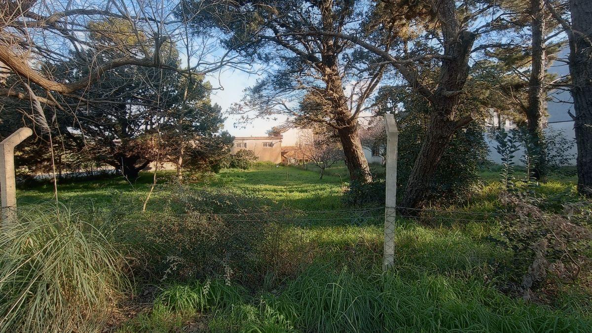 Foto de EXCELENTE Lote comercial en Villa Gesell, imagen 5