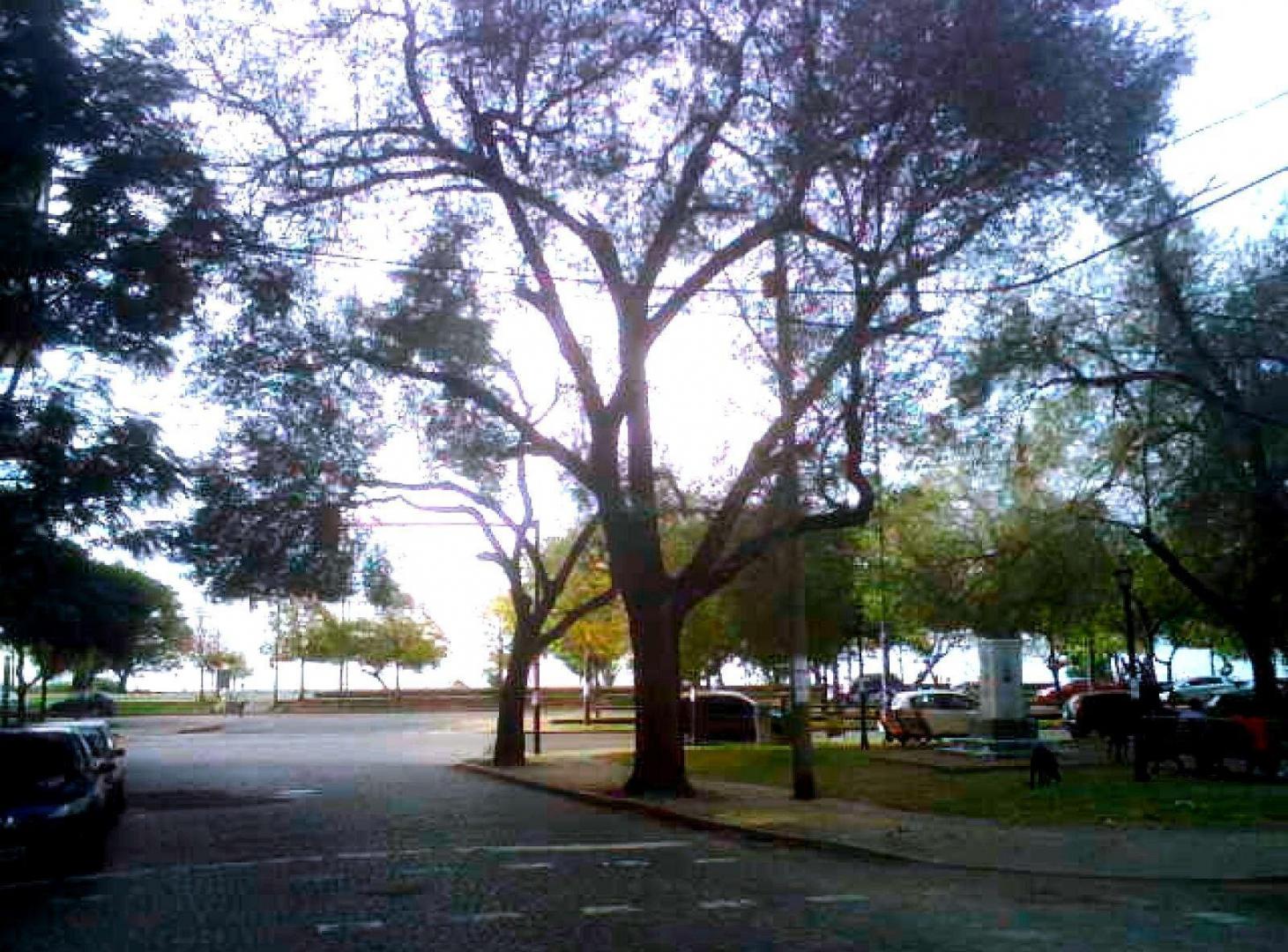 Foto de DORREGO 75/77 BIS - 08 02 - OFICINAS. ESTUDIOS. CONSULTORIOS. En, imagen 4