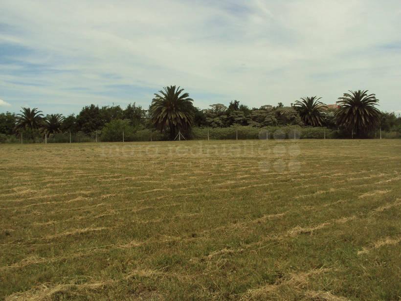 Lote de Terreno en Venta en Chscomus, Av Alfonsin 1