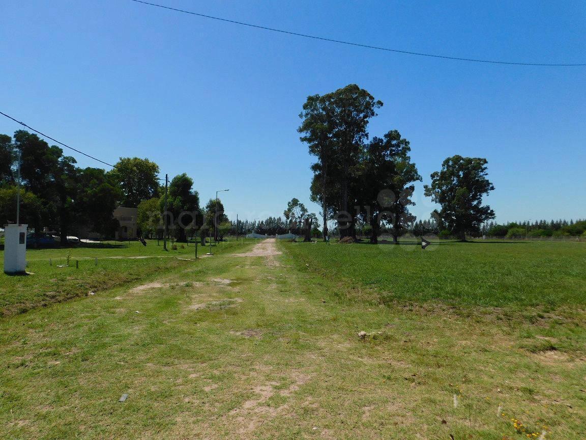 VENTA LOTE TERRENO EN CHASCOMUS CHACRA CAMPO LAGUNA