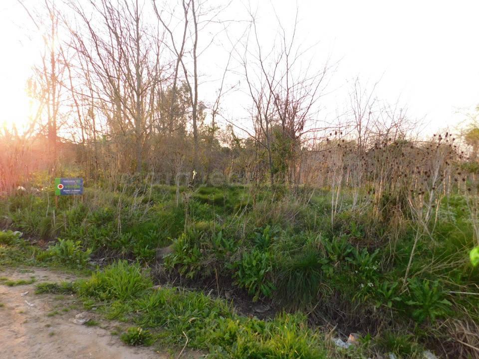 Venta de 5 Lotes en Chascomus 5