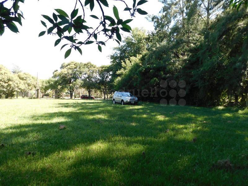 Venta Lote Arbolado 3000 m² Arbolado Cerce de Laguna de Chascomus 3