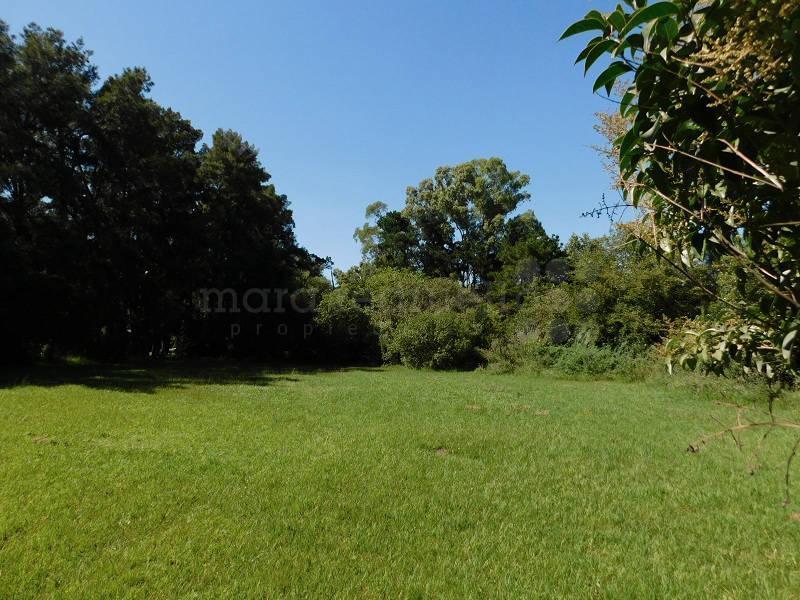 Venta Lote Arbolado 3000 m² Arbolado Cerce de Laguna de Chascomus 5