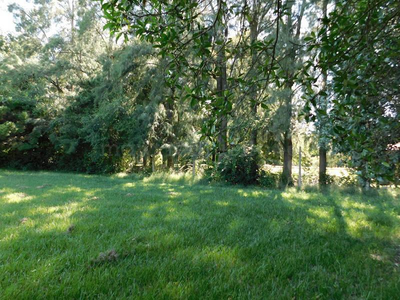Venta Lote Arbolado 3000 m² Arbolado Cerce de Laguna de Chascomus 2