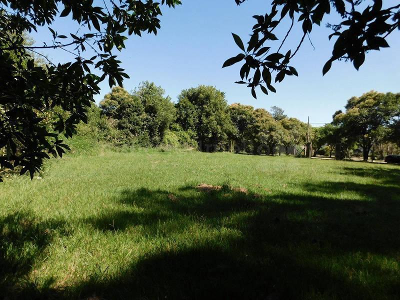 Venta Lote Arbolado 3000 m² Arbolado Cerce de Laguna de Chascomus 4