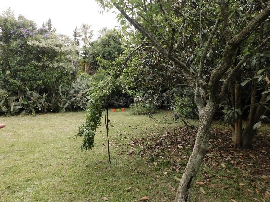 (Propiedad Suspendida) Casa en Venta en Chascomus 3
