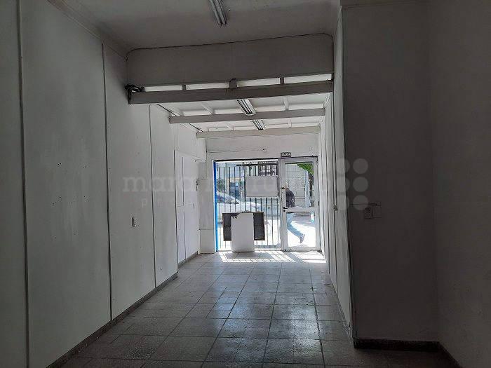 Local. | Belgrano 239 4