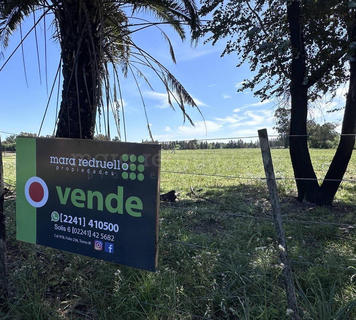 Foto de VENTA LOTE TERRENO EN CHASCOMUS DE 2500 MTS2 EN ZONA DE ALTO CRECIMIENTO, imagen 3