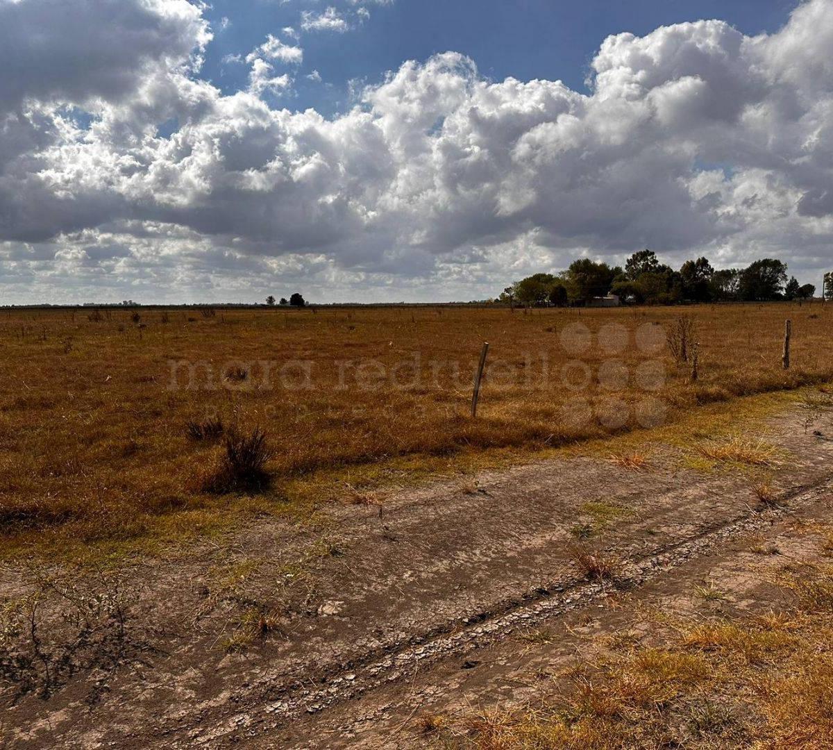 Foto de CHACRA EN PARAJE DON CIPRIANO CHASCOMUS TRANQUILO, CAMPESTRE CON CASAS, imagen 5