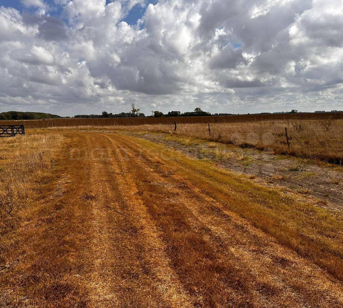 Foto de CHACRA EN PARAJE DON CIPRIANO CHASCOMUS TRANQUILO, CAMPESTRE CON CASAS, imagen 4
