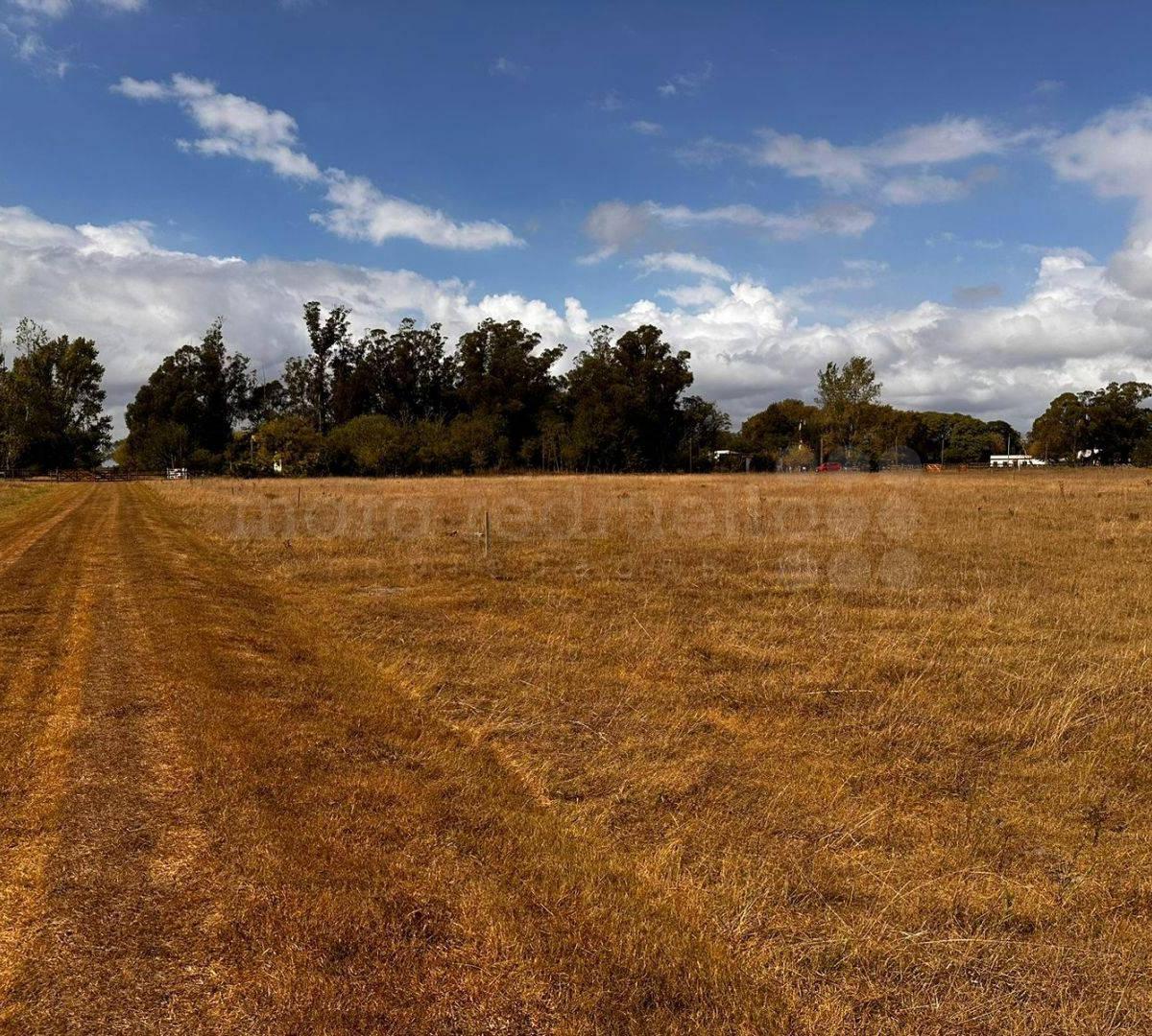 Foto de CHACRA EN PARAJE DON CIPRIANO CHASCOMUS TRANQUILO, CAMPESTRE CON CASAS, imagen 3