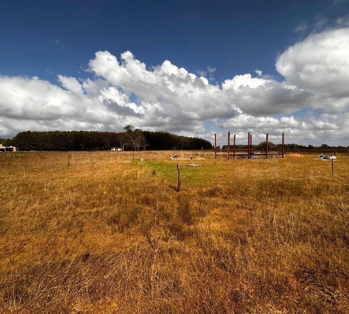 Foto de CHACRA EN PARAJE DON CIPRIANO CHASCOMUS TRANQUILO, CAMPESTRE CON CASAS, imagen 2