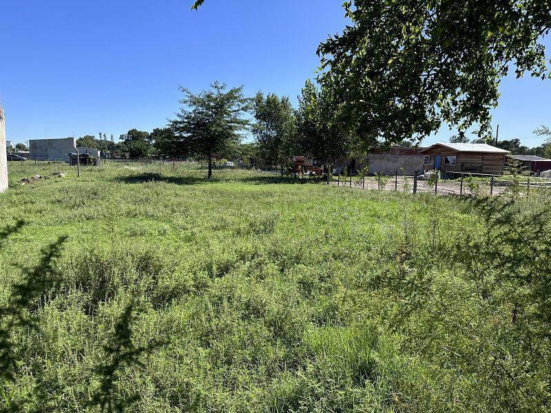 Foto de VENTA LOTE 20 mts DE FRENTE CHASCOMUS, ZONA CAMPO CON BUEN VECINDARIO, imagen 5
