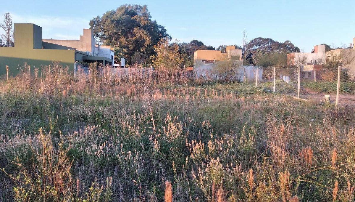 Lote de 707 m² a 400 Mtros de La Laguna de Chascomus 3