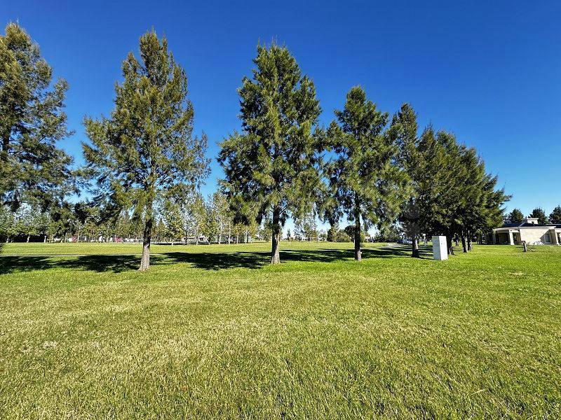 Foto de VENTA DE LOTE EN PUERTO CHASCOMUS CON VISTA AL LAGO. OPORTUNIDAD!!!!, imagen 4