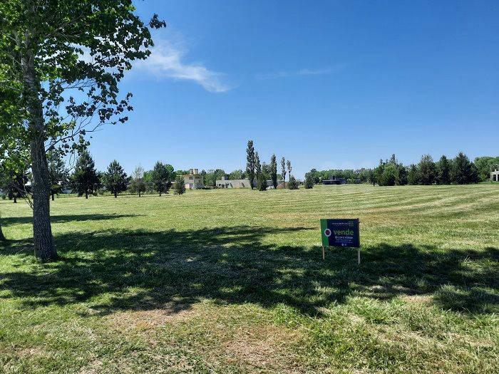 Foto de VENTA LOTE EN CHASCOMUS- PUERTO CHASCOMUS, imagen 3