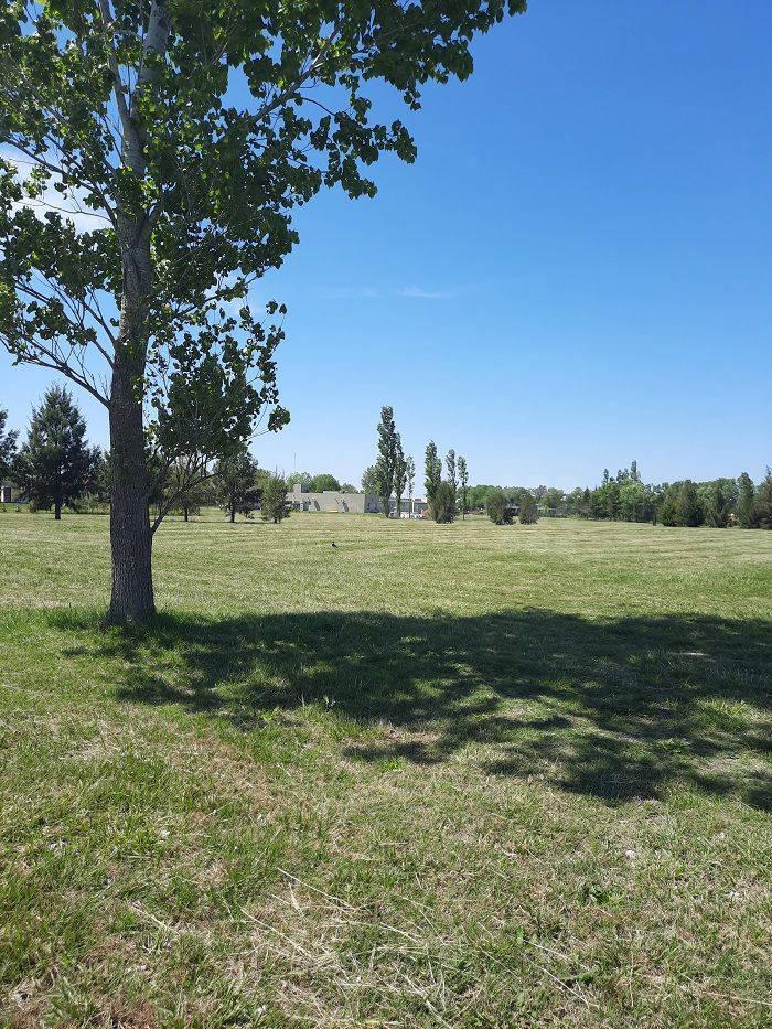 Foto de VENTA LOTE EN CHASCOMUS- PUERTO CHASCOMUS, imagen 5