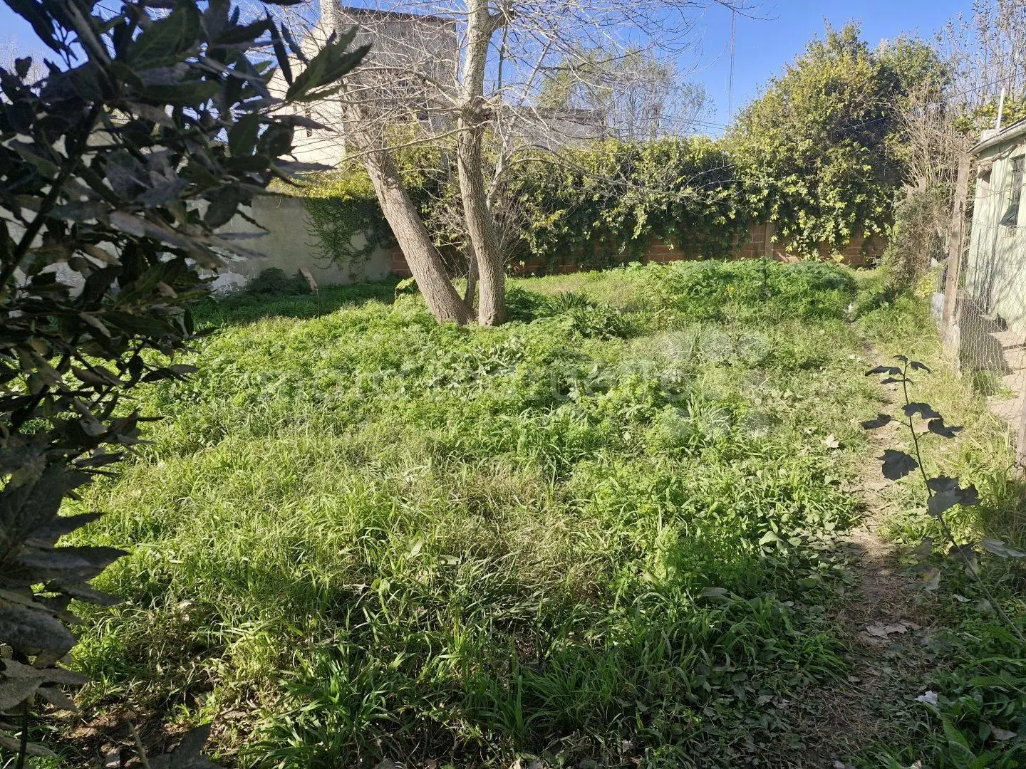 LOTE EN VENTA A 6 CUADRAS DE LAGUNA DE CHASCOMUS IDEAL PARA VIVIENDA. 4