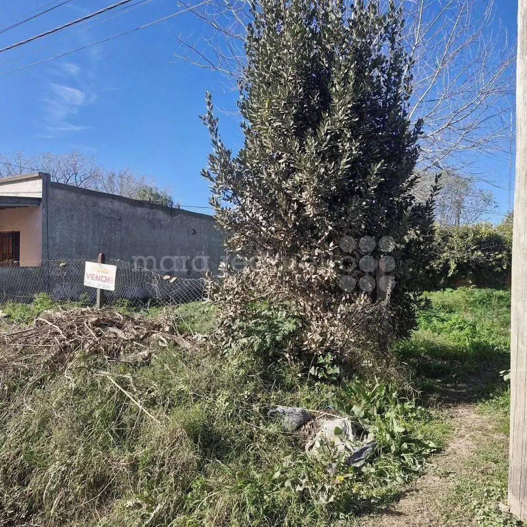 LOTE EN VENTA A 6 CUADRAS DE LAGUNA DE CHASCOMUS IDEAL PARA VIVIENDA. 5