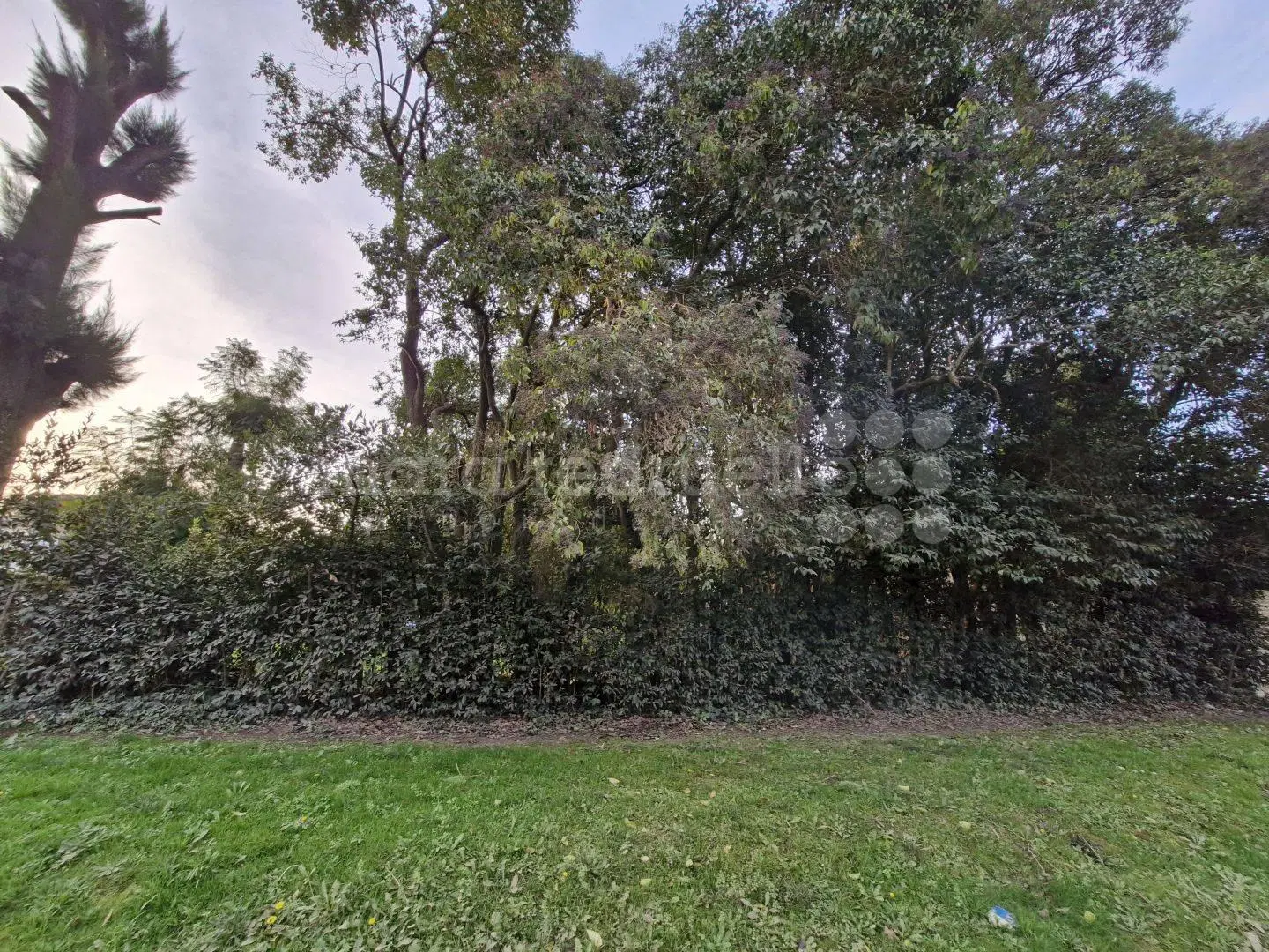 VENTA DE LOTE 990 MTS2 ARBOLADO A 3 CUADRAS DE LA LAGUNA DE CHASCOMUS 3