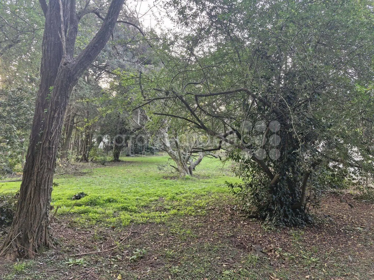 VENTA DE LOTE 990 MTS2 ARBOLADO A 3 CUADRAS DE LA LAGUNA DE CHASCOMUS 4