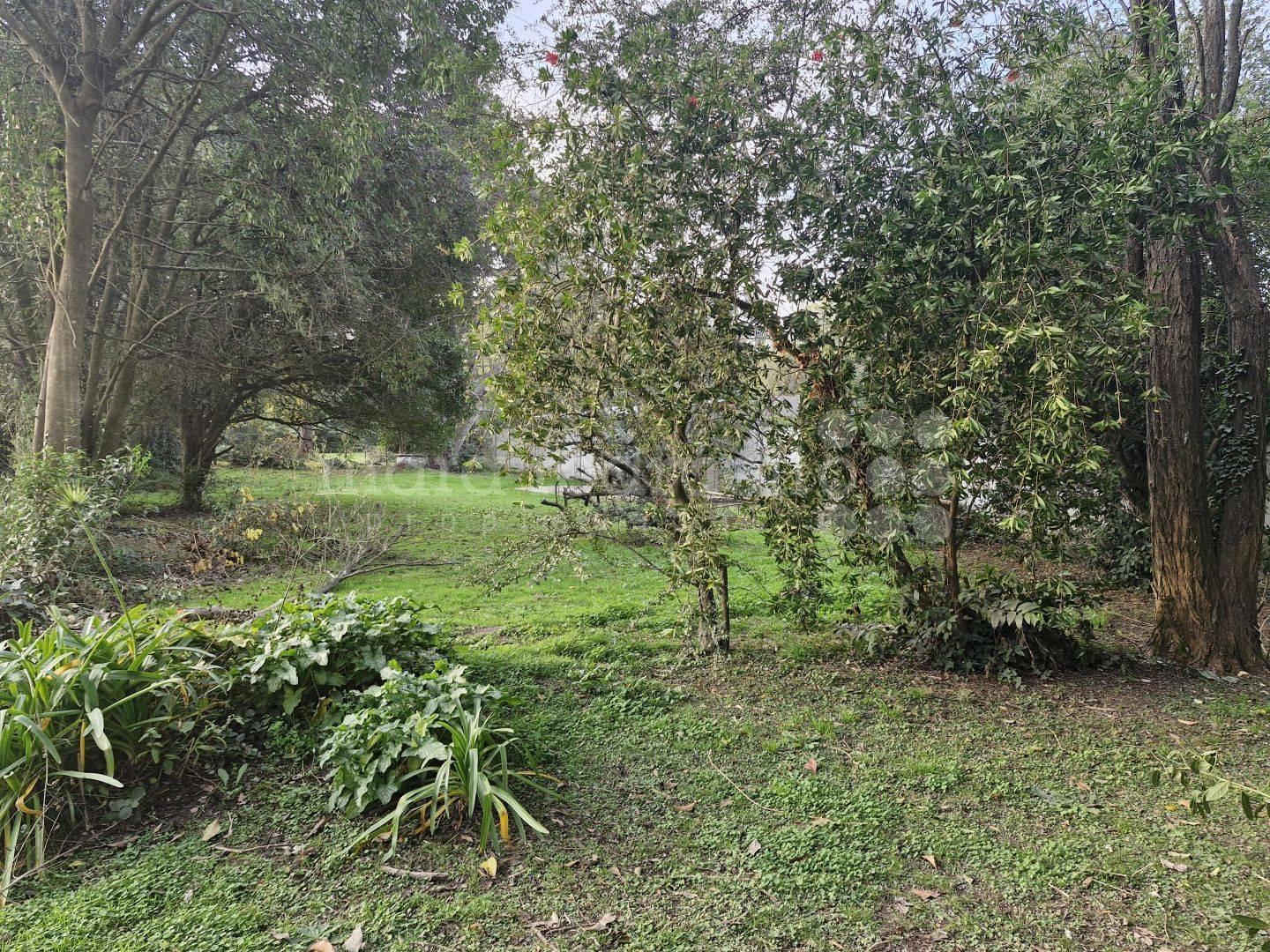 Foto de VENTA DE LOTE 990 MTS2 ARBOLADO A 3 CUADRAS DE LA LAGUNA DE CHASCOMUS, imagen 5