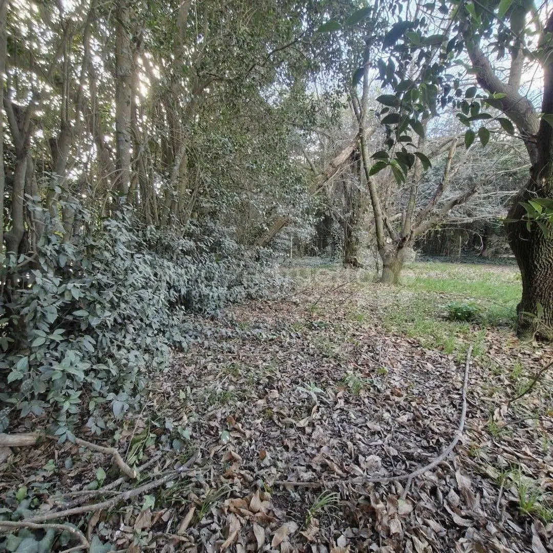 GRAN LOTE CON CONSTRUCCION EN VENTA A 3 CUADRAS DE LA LAGUNA DE CHASCOMUS. 8