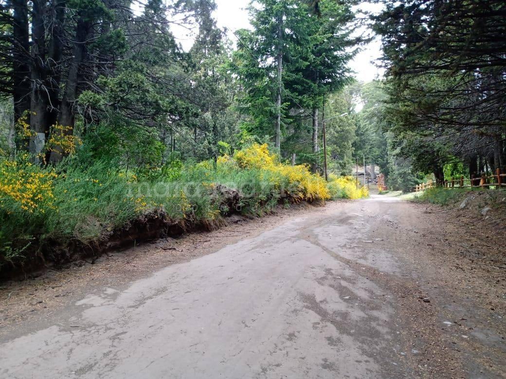 Foto de OPORTUNIDAD DE DESARROLLO EN VILLA TRAFUL, imagen 2