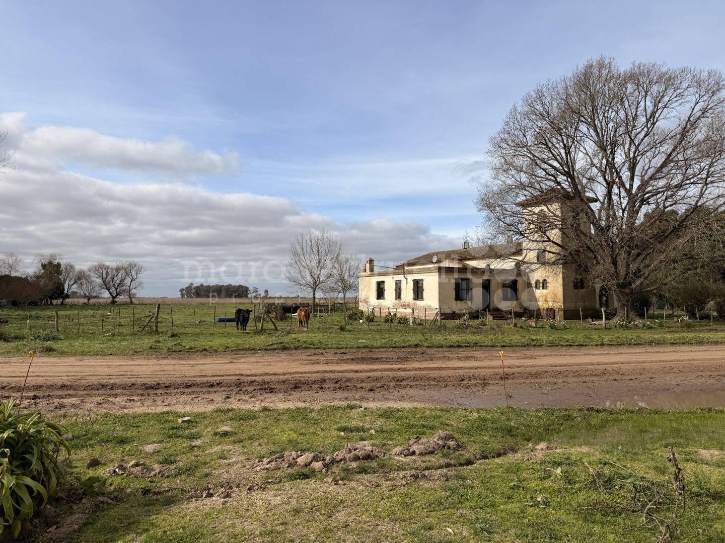 Foto de VENTA CHACRA TERRENO CON GALPON Y ARBOLES EN PARAJE LIBRES DEL SUD, imagen 4