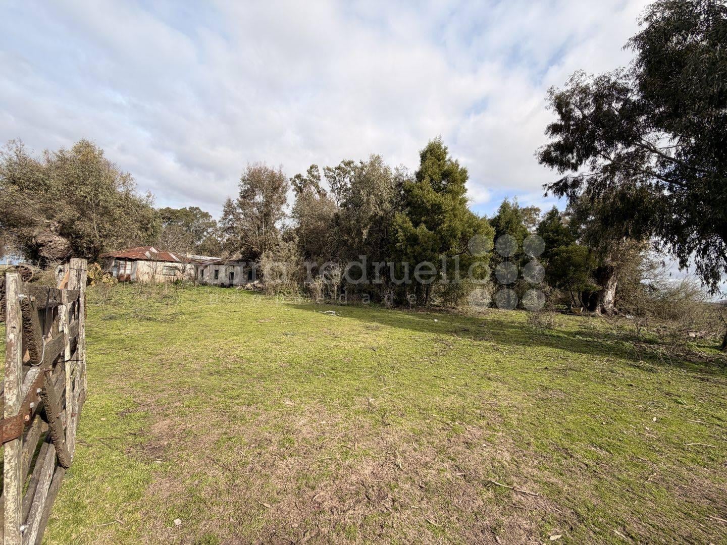 Foto de VENTA CHACRA TERRENO CON GALPON Y ARBOLES EN PARAJE LIBRES DEL SUD, imagen 5