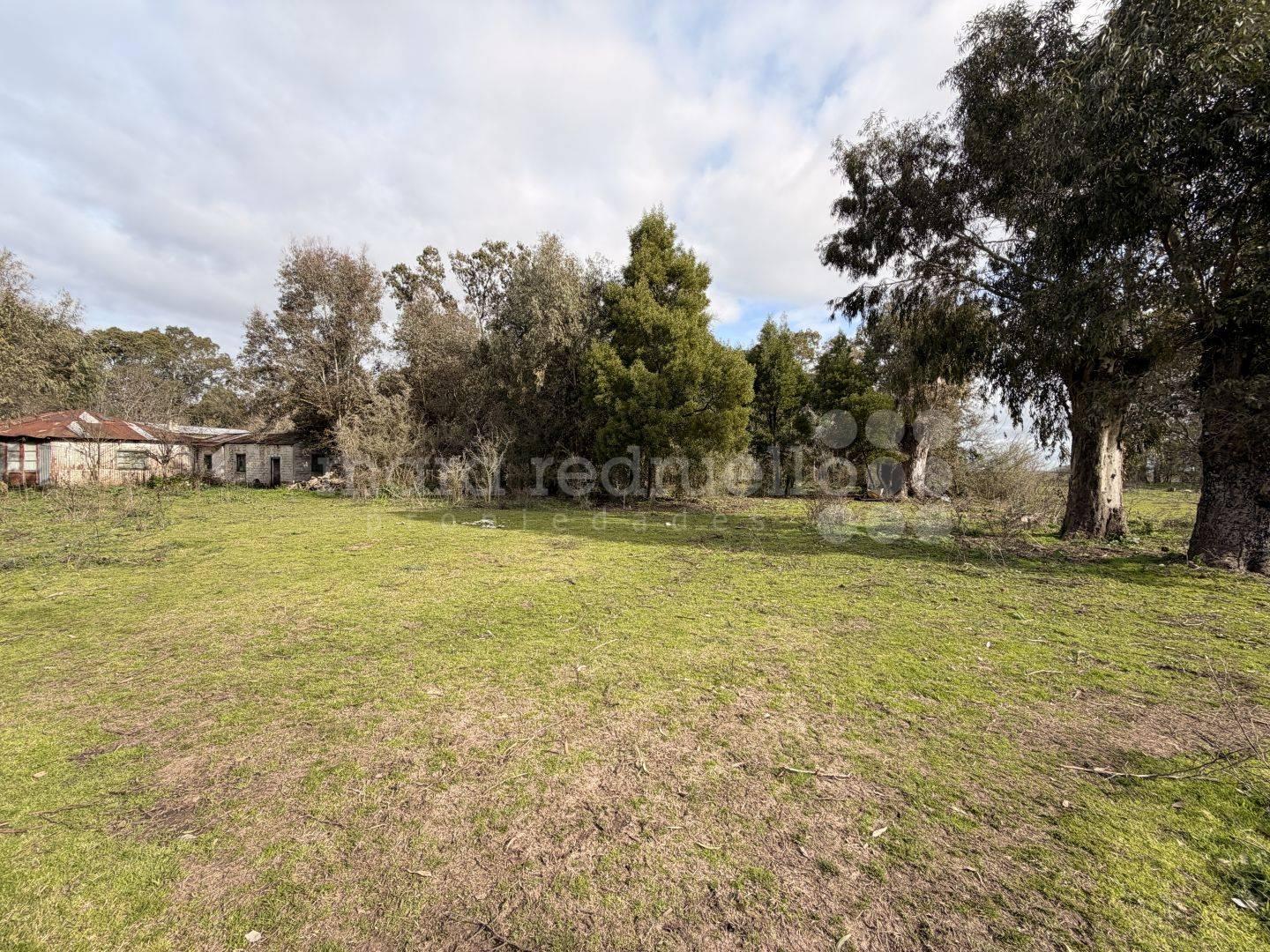 Foto de VENTA CHACRA TERRENO CON GALPON Y ARBOLES EN PARAJE LIBRES DEL SUD, imagen 1
