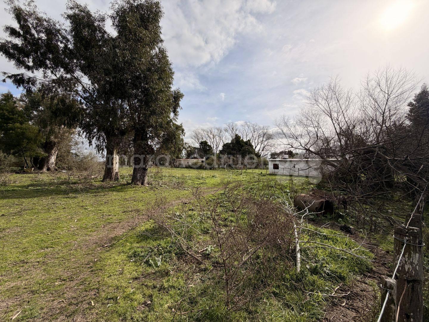 Foto de VENTA CHACRA TERRENO CON GALPON Y ARBOLES EN PARAJE LIBRES DEL SUD, imagen 3