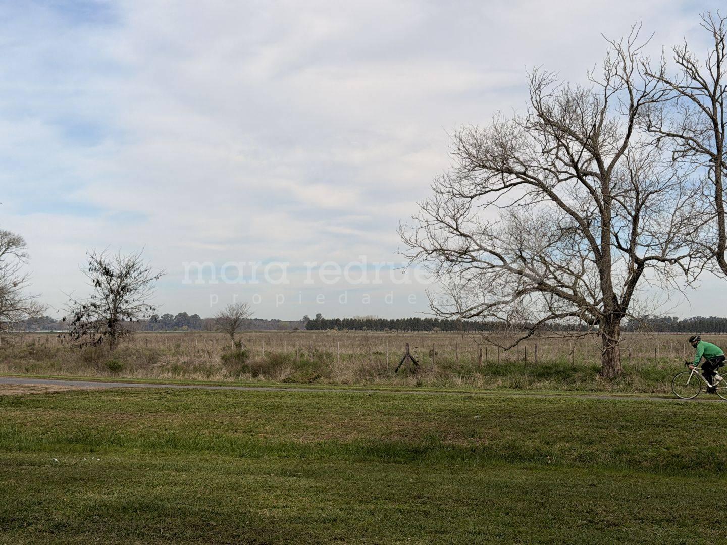 Foto de VENTA DE HECTAREA FRENTE LAGUNA EN CHASCOMUS, imagen 1