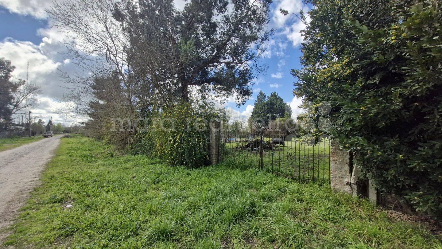 Foto de VENTA LOTE TERRENO 600 MTS2 ZONA CASAS QUINTAS CERCA CENTRO LAGUNA, imagen 2