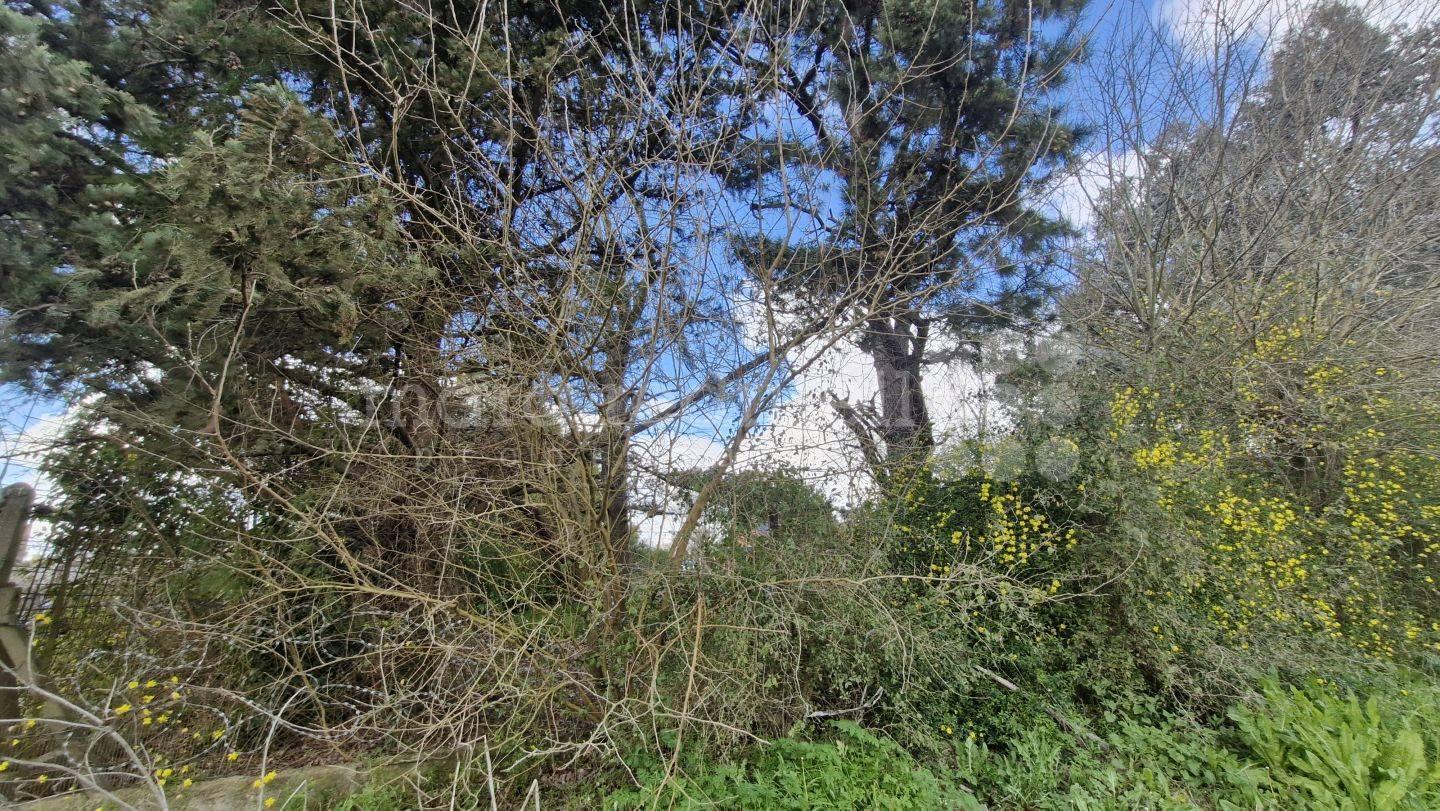 Foto de VENTA LOTE TERRENO 600 MTS2 ZONA CASAS QUINTAS CERCA CENTRO LAGUNA, imagen 1