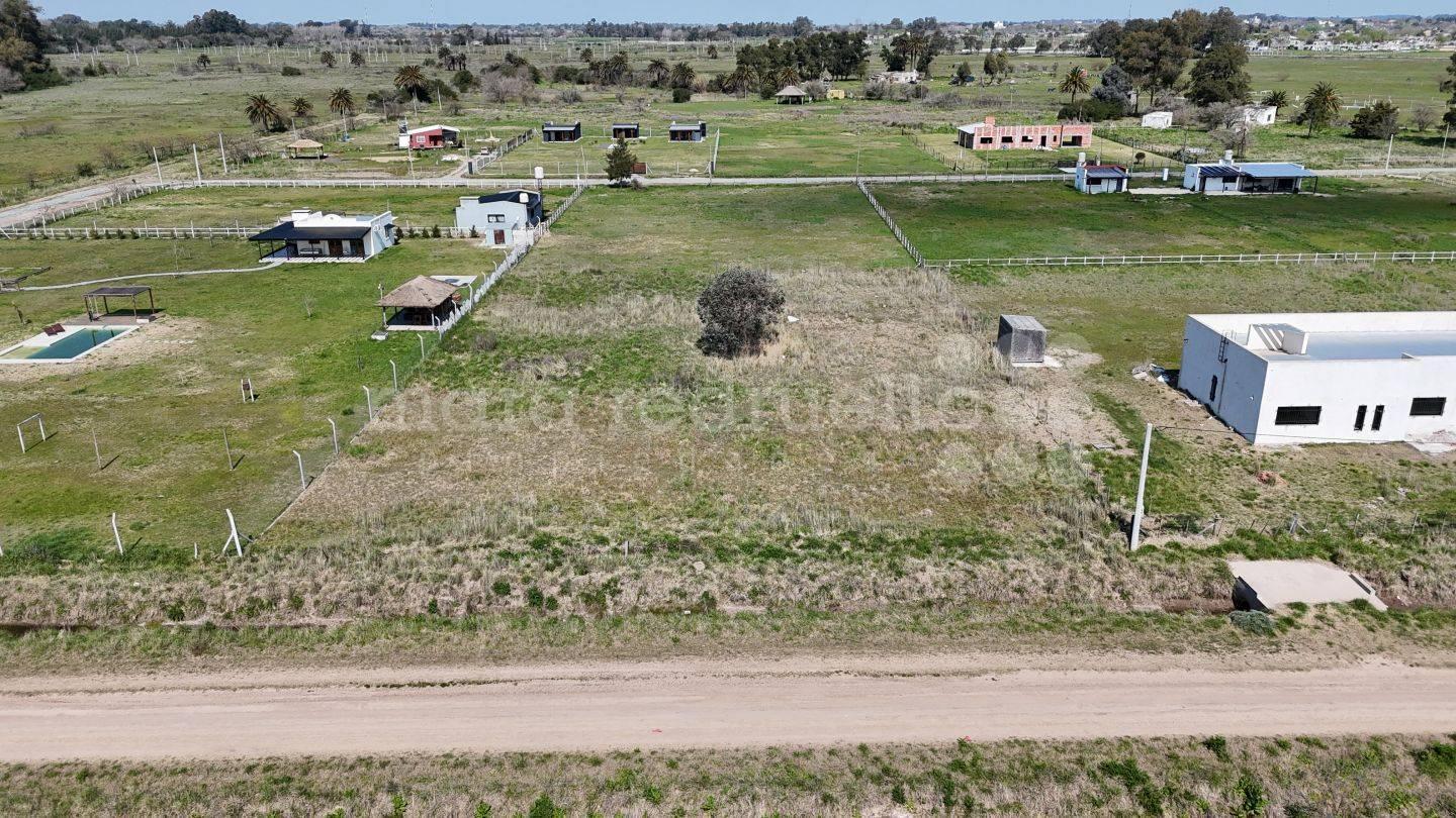 Foto de EN VENTA LOTE DE TERRENO DE 2500 METROS GRAN MEDIDA IDEAL CABAÑAS, CASA, imagen 3