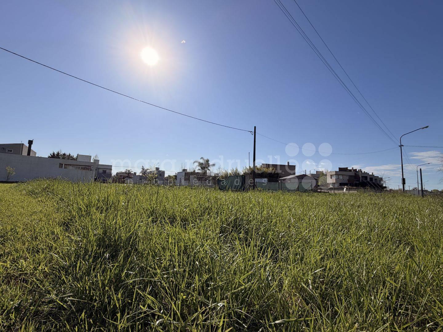 Foto de EN VENTA LOTE FRENTE LAGUNA DE CHASCOMUS CON TODOS LOS SERVICIOS, imagen 5