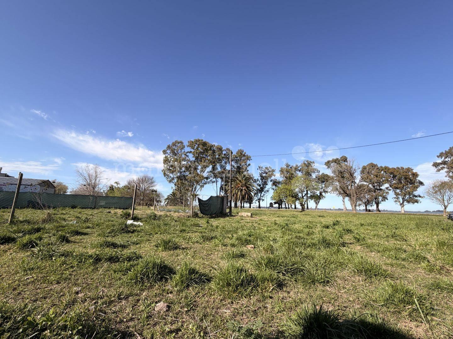 Foto de EN VENTA LOTE FRENTE LAGUNA DE CHASCOMUS CON TODOS LOS SERVICIOS, imagen 1